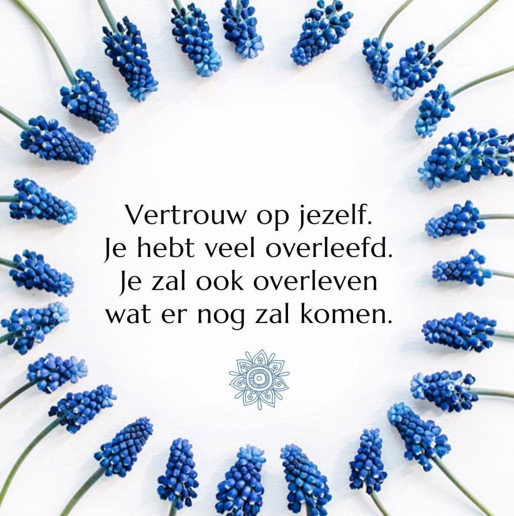 paniekaanval-Truffelceremonie-Vertrouw-op-jezelf-Je-hebt-veel-overleefd-Je-zal-ook-overleven-wat-er-nog-zal-komen