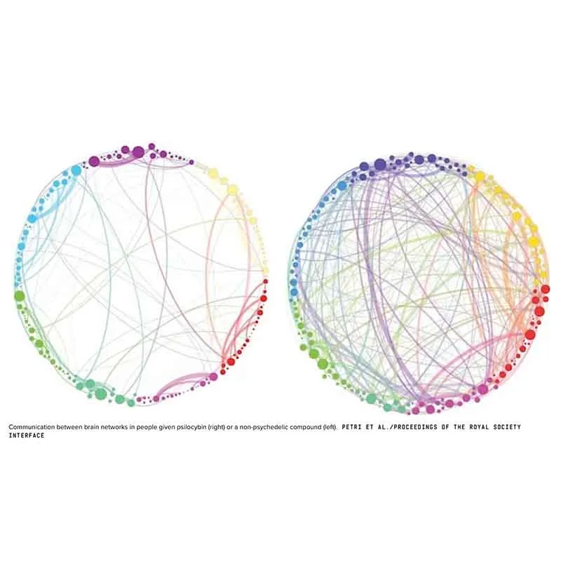 truffelceremonie_com hersenscan met en zonder psilocybine
