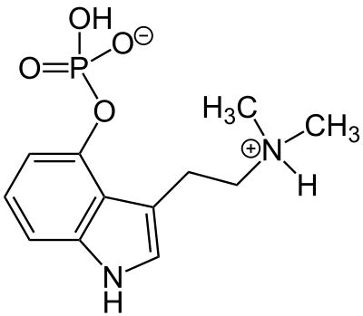 Formule_Psilocybine-truffelceremonie