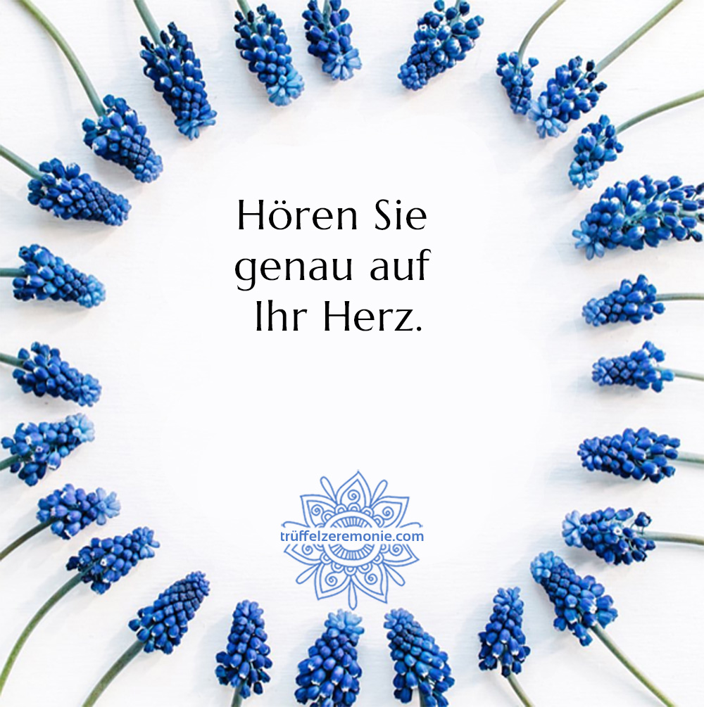 Hören Sie genau auf Ihr Herz
