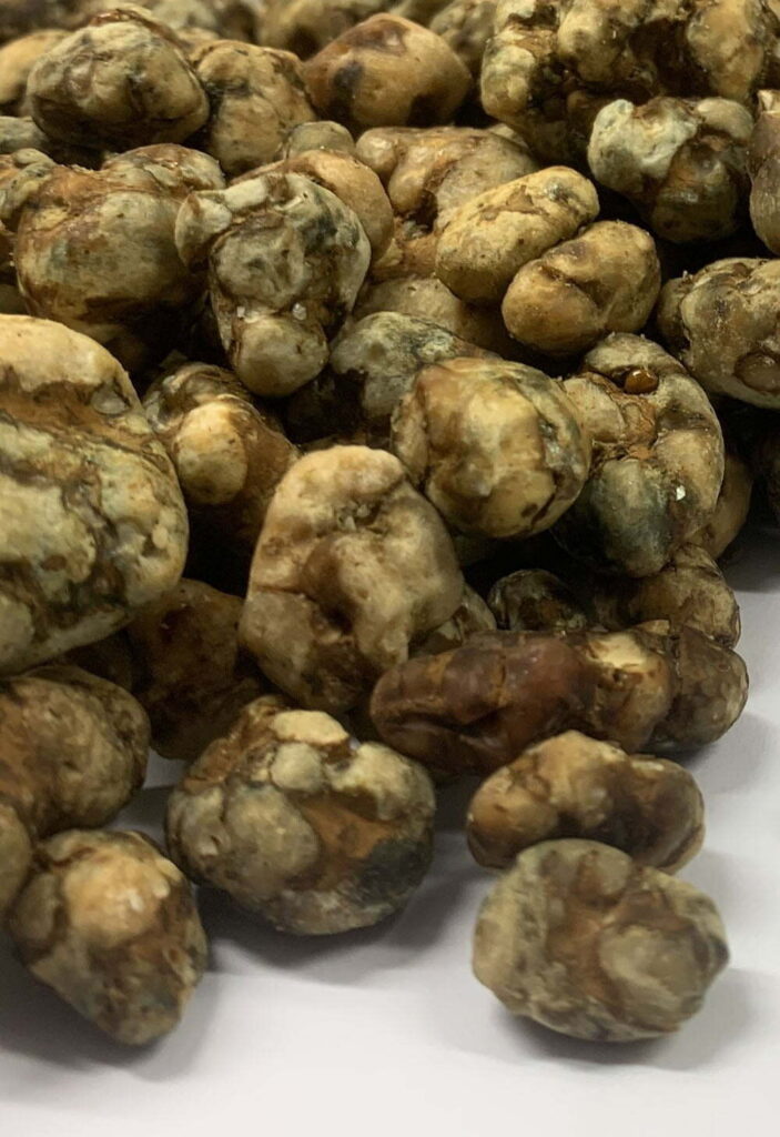 Microdosing-truffles-from-truffle-ceremony.jpg