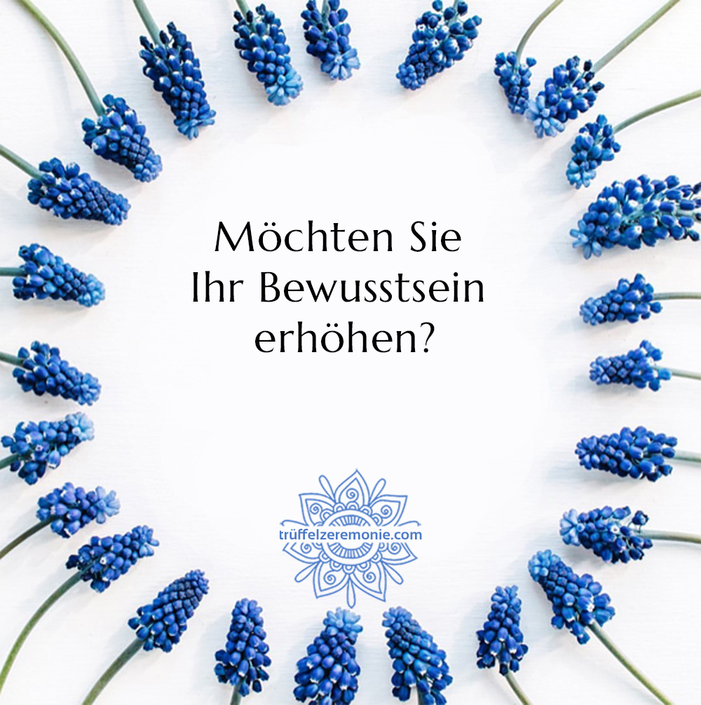 Trüffelzeremonie-erweitert-dein-Bewusstsein