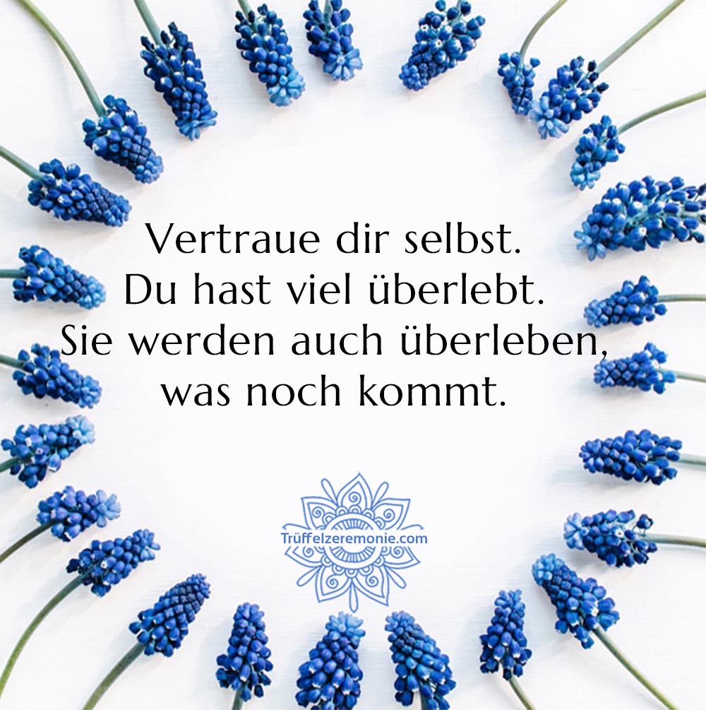Panik-Attacke-Trüffel-Zeremonie-Vertraue-auf-dich-selbst-Du-hast-viel-überlebt-Du-wirst-überleben-was-zu-sein ist