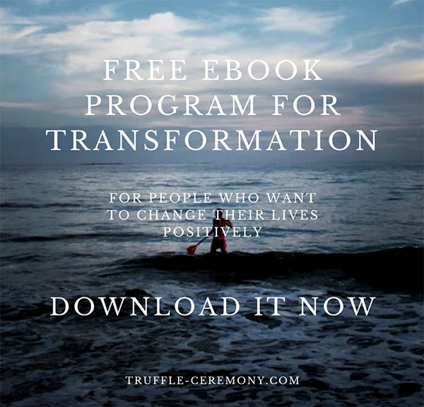 banner-ebook-Program-for-Transformation