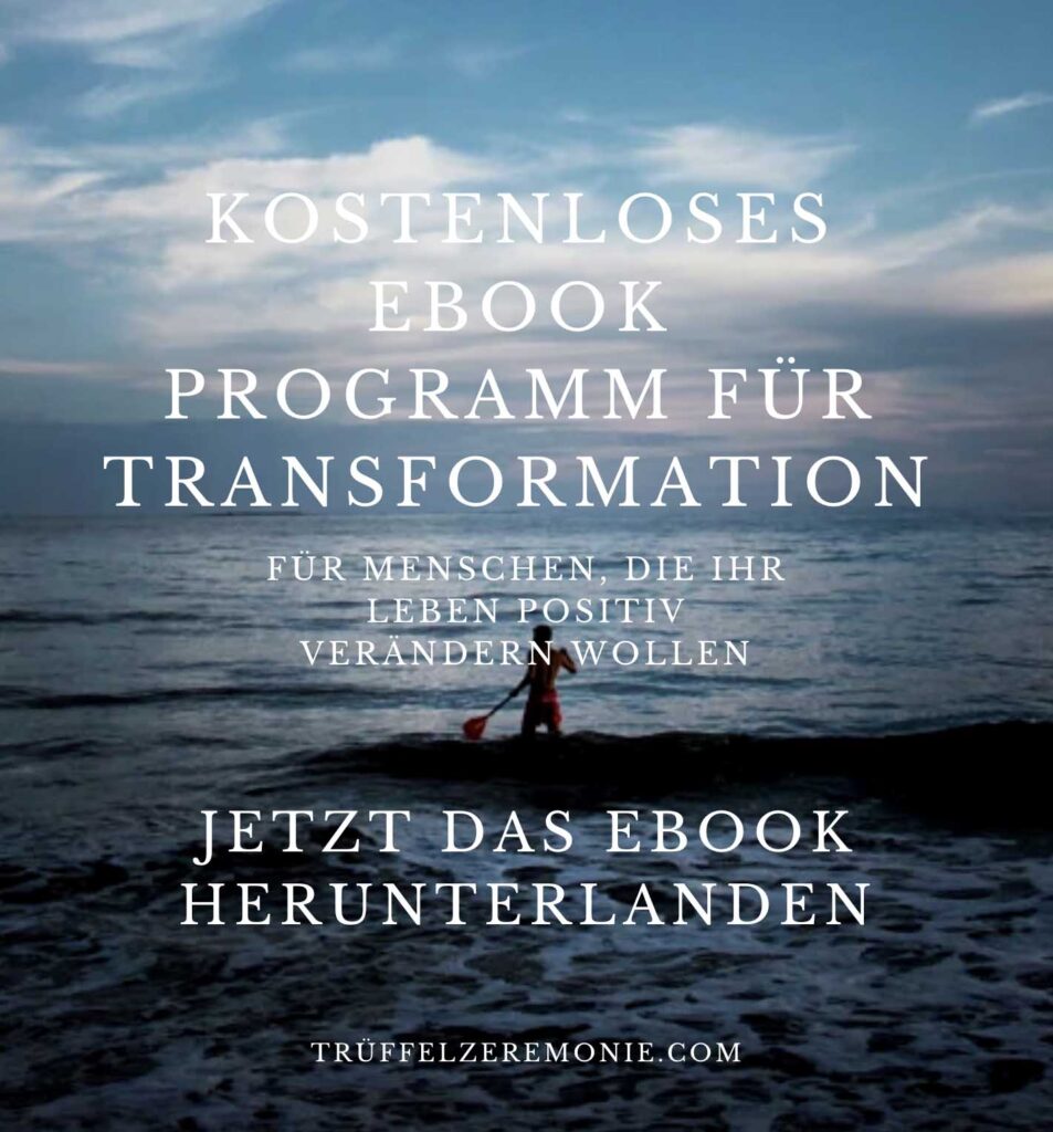 Programm für Transformation