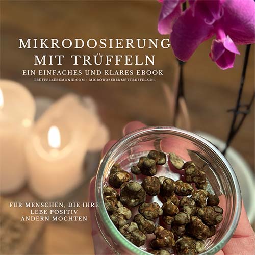 Banner eBook Microdosing mit Trüffeln von Trüffelzeremonie.com