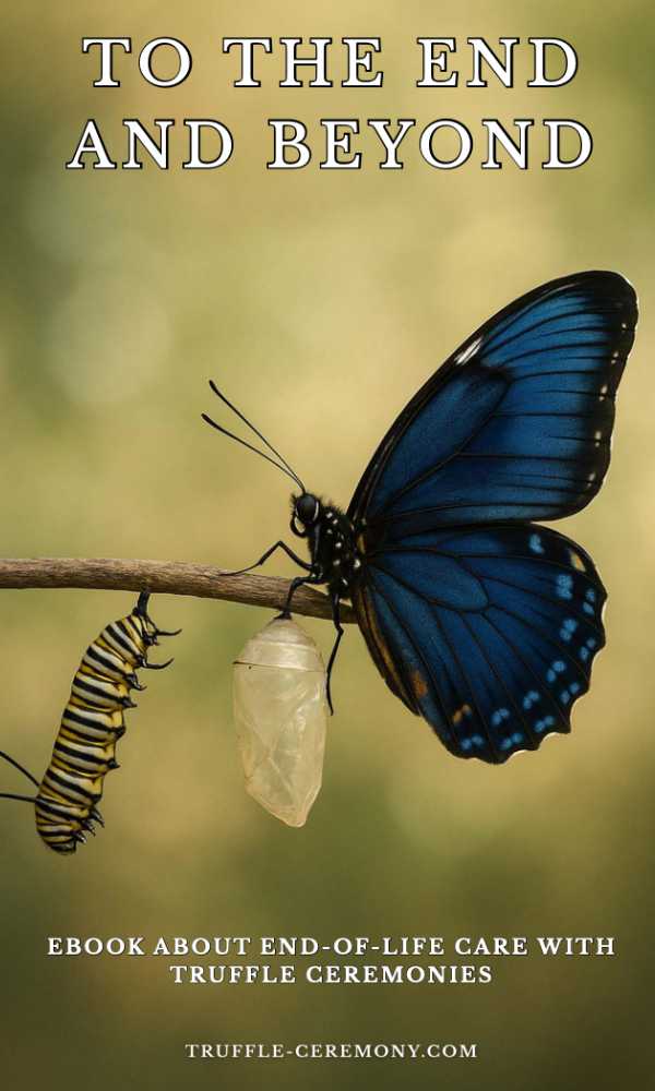 bereavement counseling - ebook - To the end and beyond