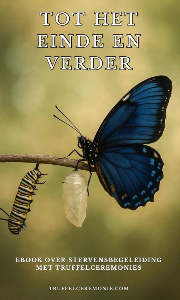 stervensbegeleiding - ebook - Tot het einde en verder